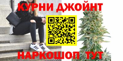 дмт Тара
