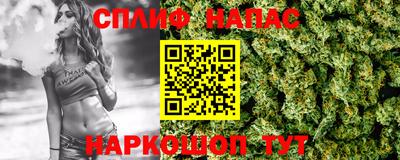 сатива Тверь