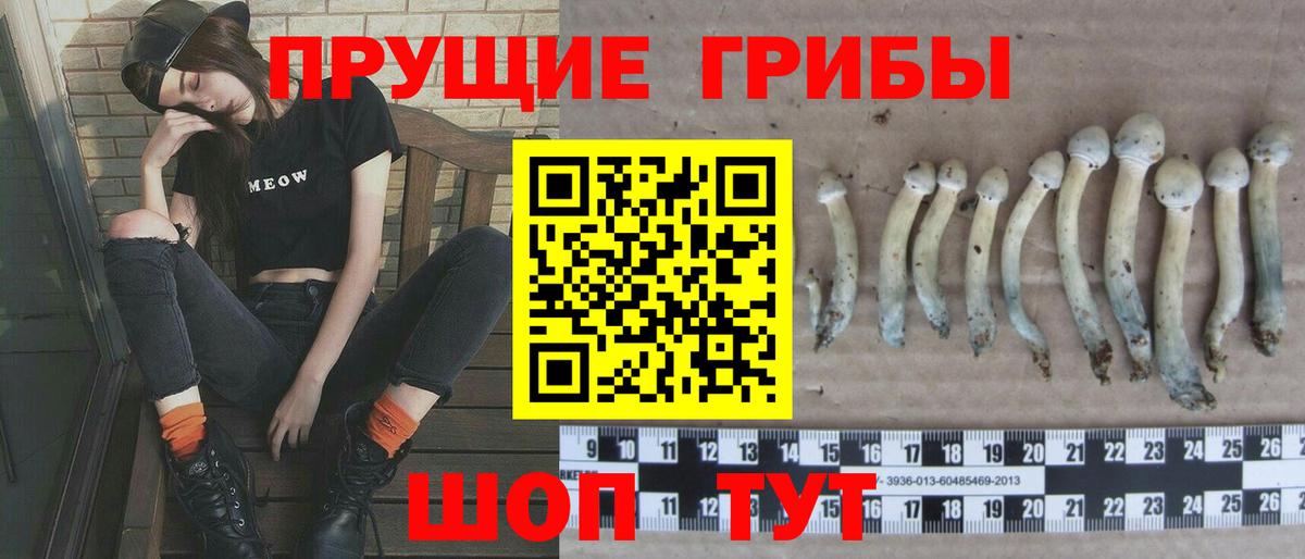 Галлюциногенные грибы прущие грибы Назарово
